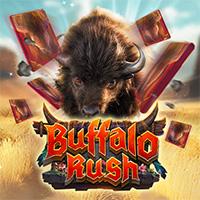 Buffalo Rush